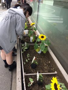夏スタイルの花壇になりました 環境委員 名古屋ユマニテク調理製菓専門学校 高等課程